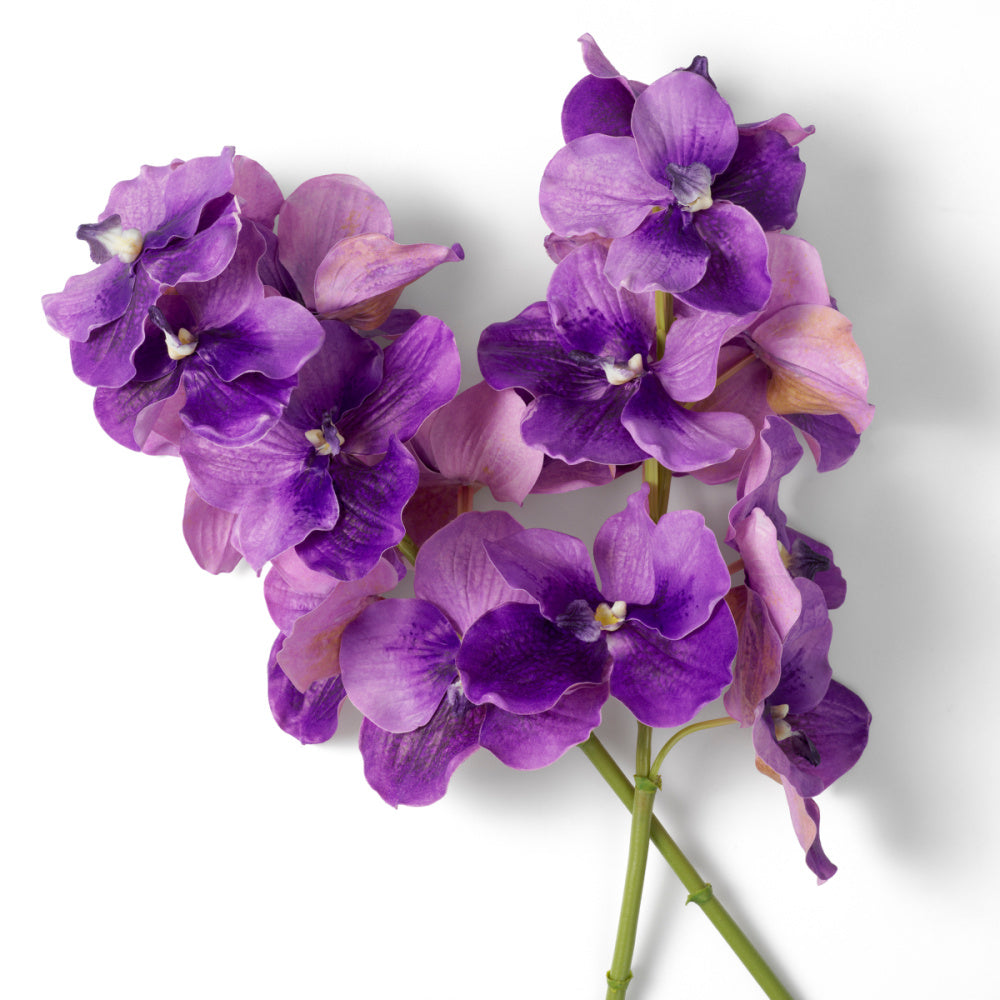 Eichholtz of Vanda Orchids Bouquet, Purple Real Touch 24 Pcs (119286)