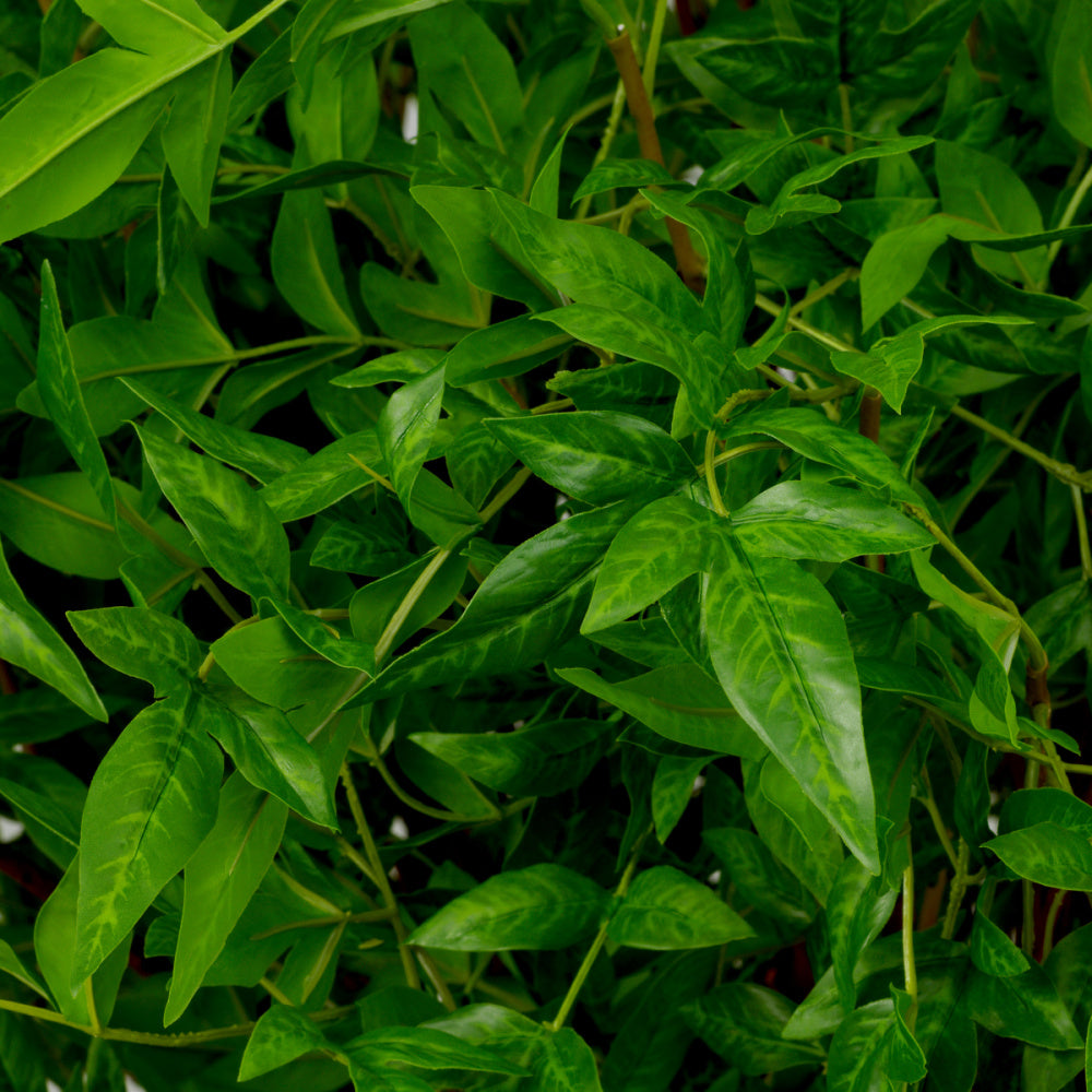 Eichholtz of Tender Bundle, Leaves 36 Pcs (119288)