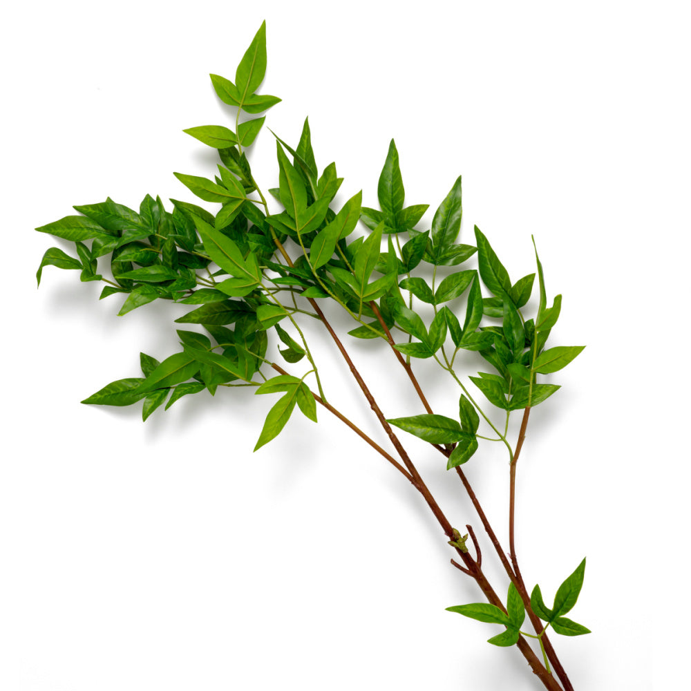Eichholtz of Tender Bundle, Leaves 36 Pcs (119288)