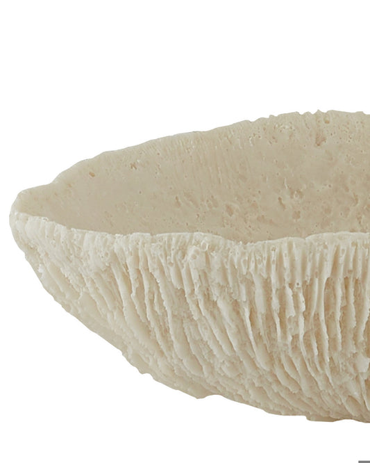 Island Ivory Tray, Set of 2 Currey and Company 1200-0354