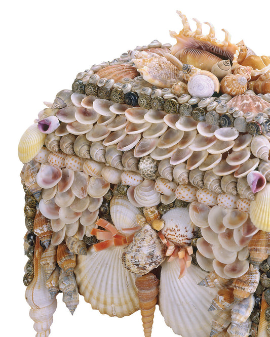 Boardwalk Shell Jewelry Box Currey and Company 1251