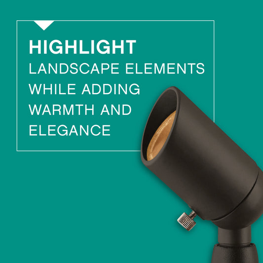 Hinkley Accent Outdoor Landscape Spot Light Bronze