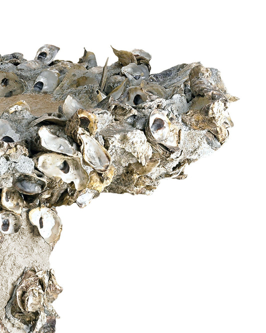 Oyster Shell Large Bird Bath, Natural, 38"H, Currey and Company 2765