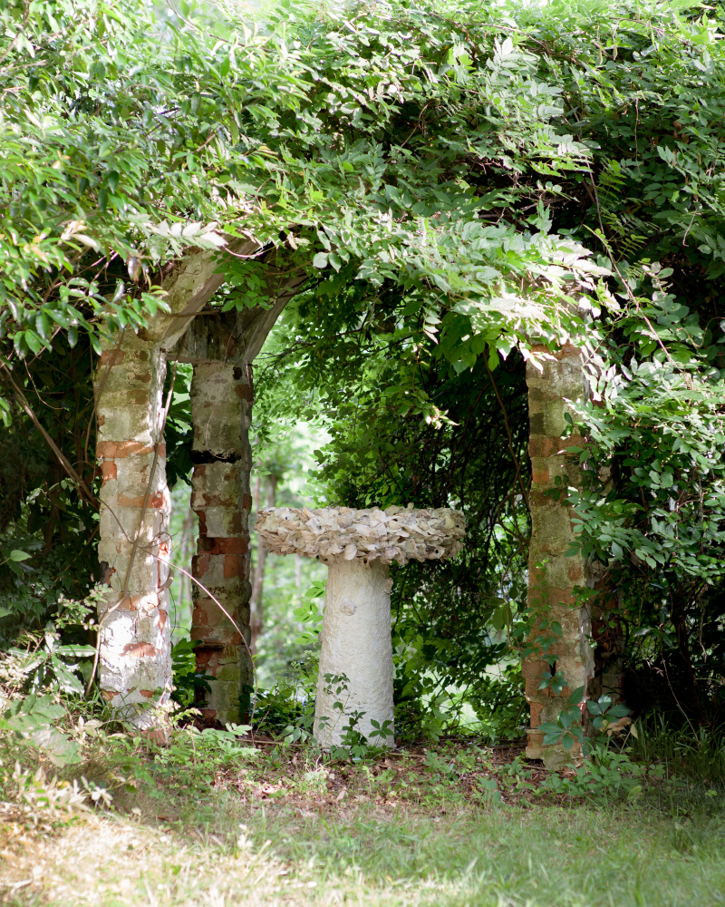 Exterior-Currey-2765