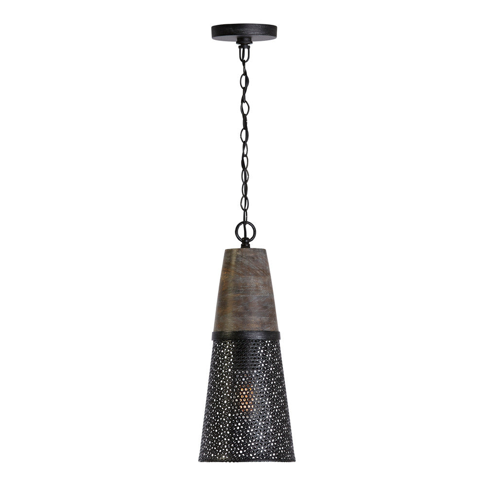 Capital Coker Pendant Barn House