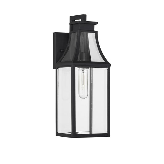 Emery 1-Light Outdoor Wall Lantern - Matte Black