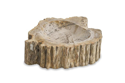 Brown Petrified Bowl