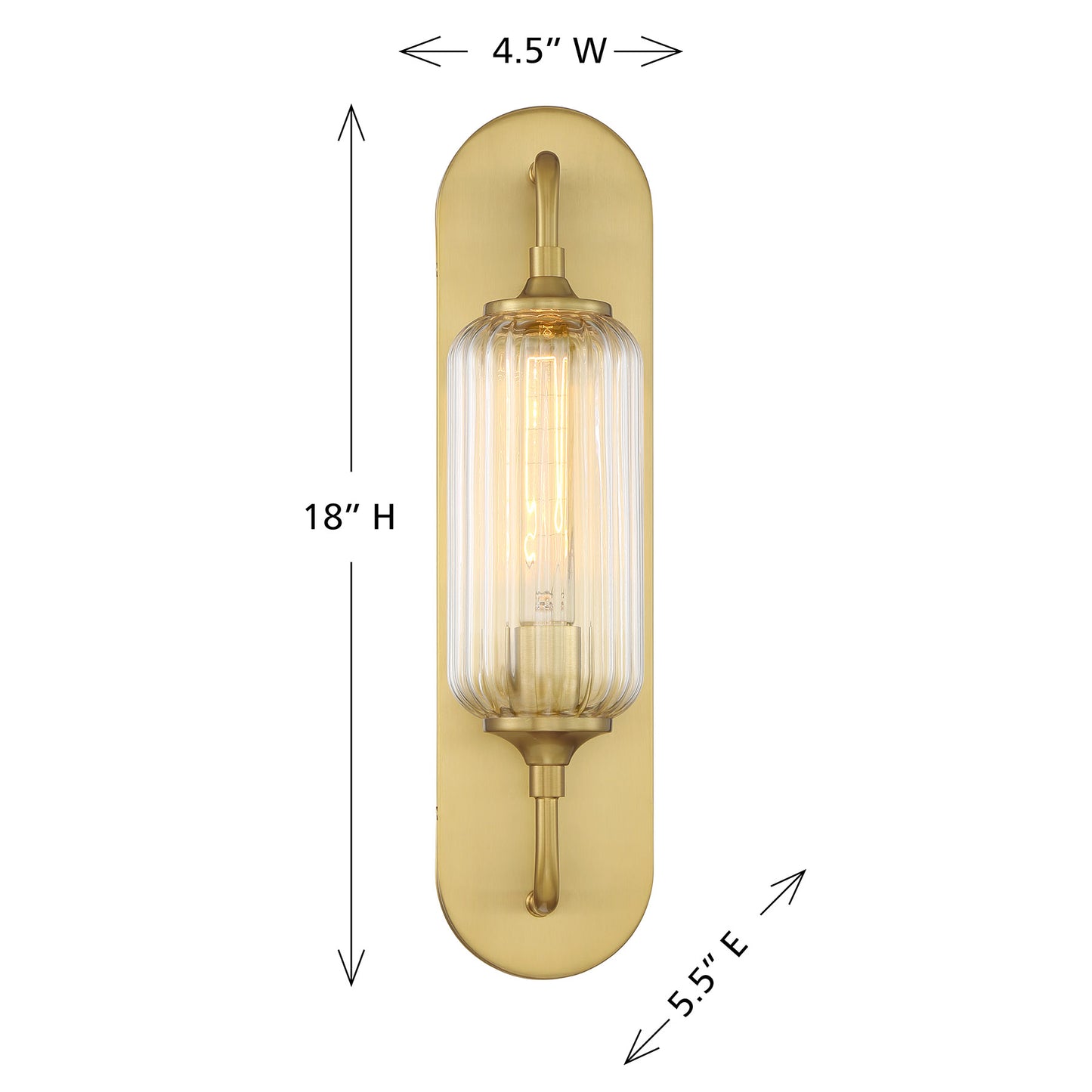 Holton 1-Light Wall Sconce in Warm Brass