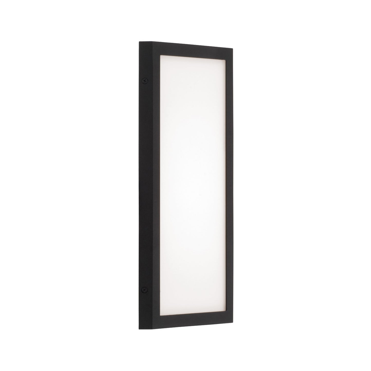 Capital Irvin Small Wall Lantern in Black