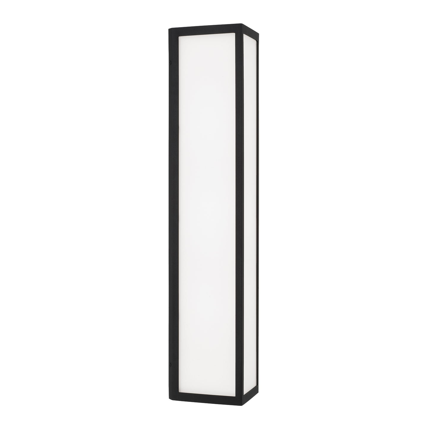 Capital Irvin Large Wall Lantern