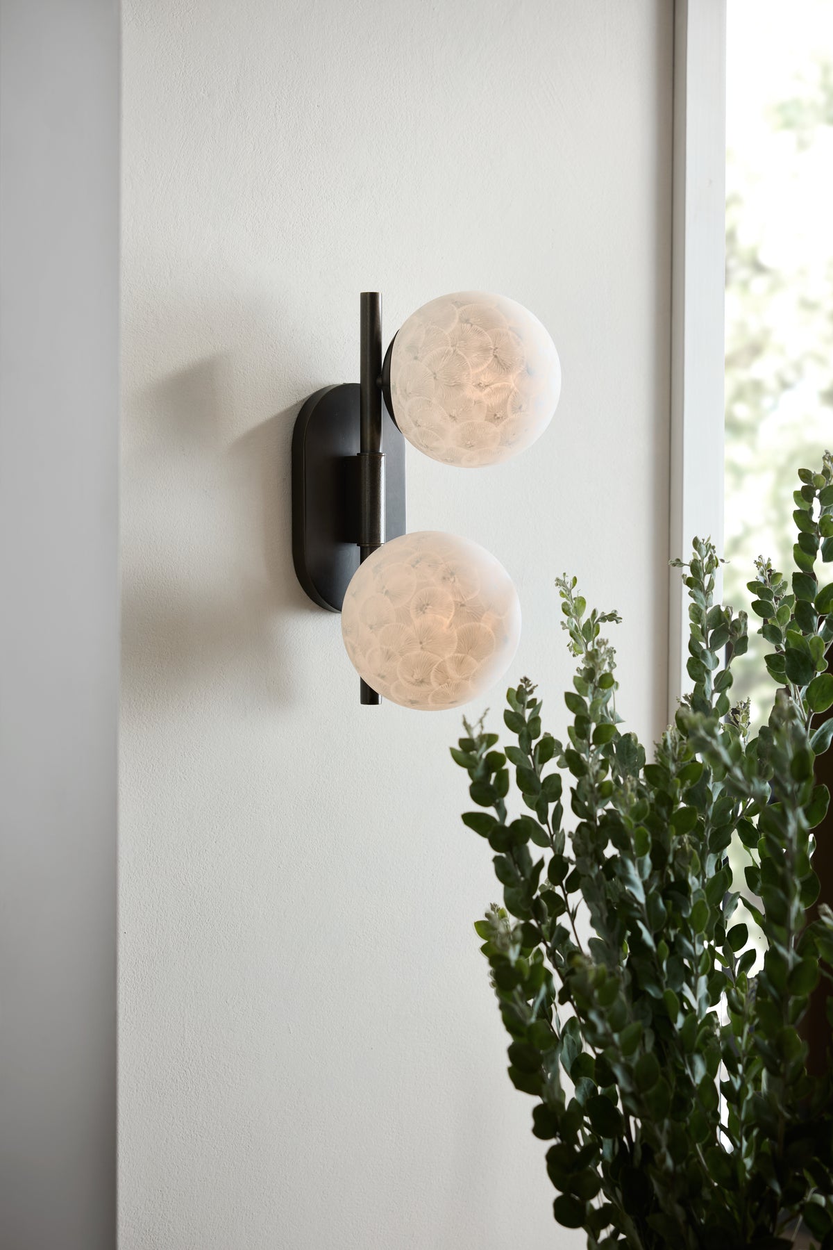 Julie Sconce