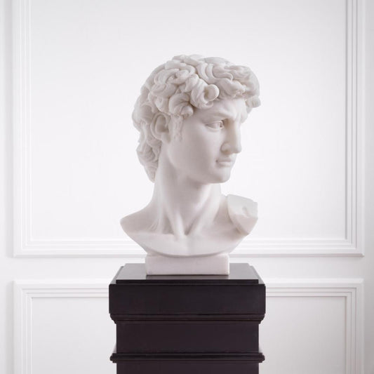 Eichholtz Head David, Eichholtz 117079 YV0J044THC