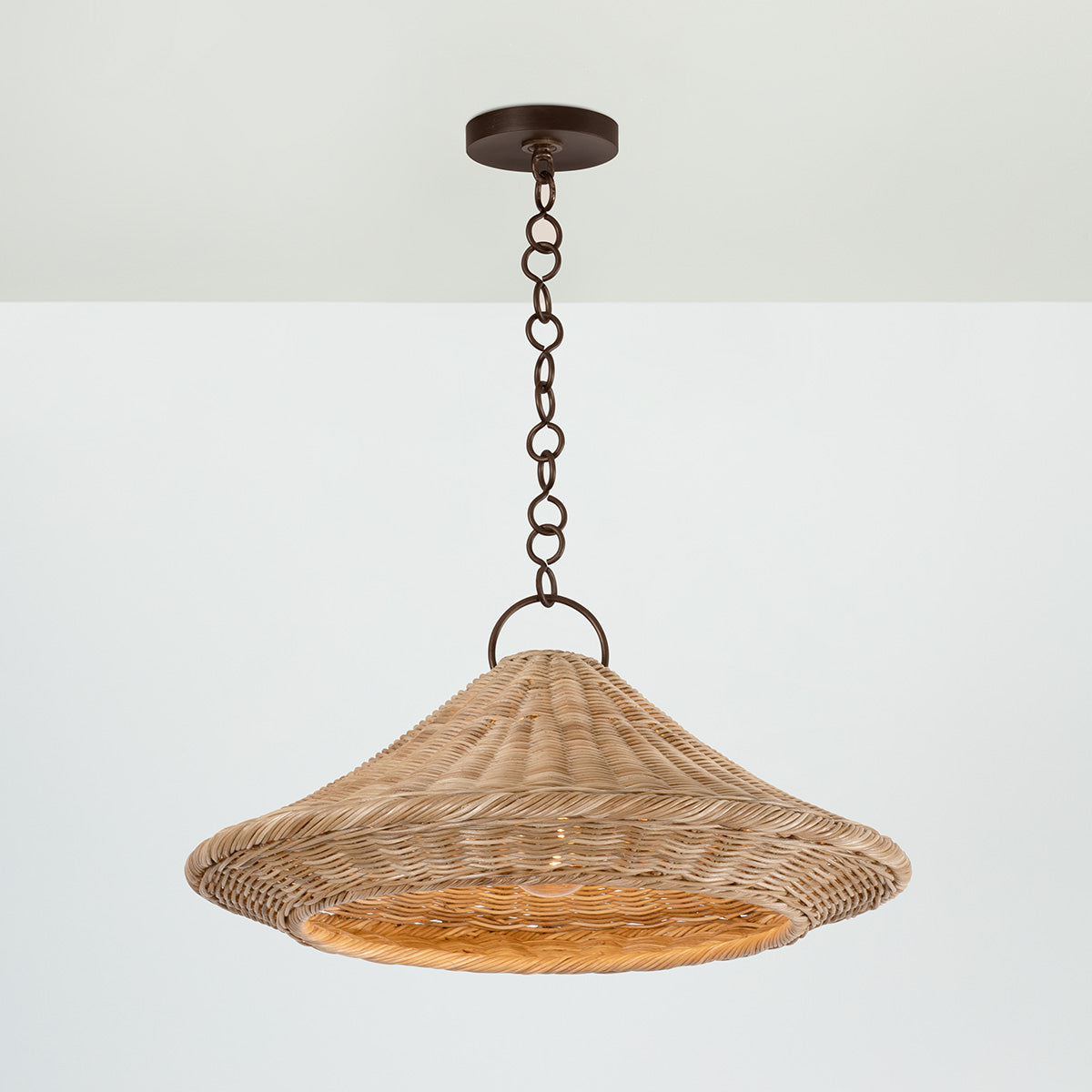 Hudson Valley Baychester 22" Pendant in Bronze Leaf, alternate view 2