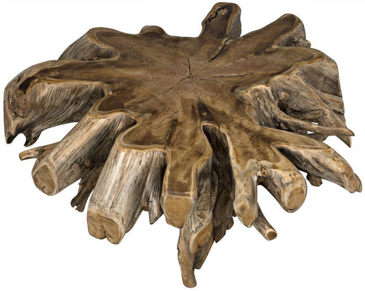 Noir Teak Root Coffee Table