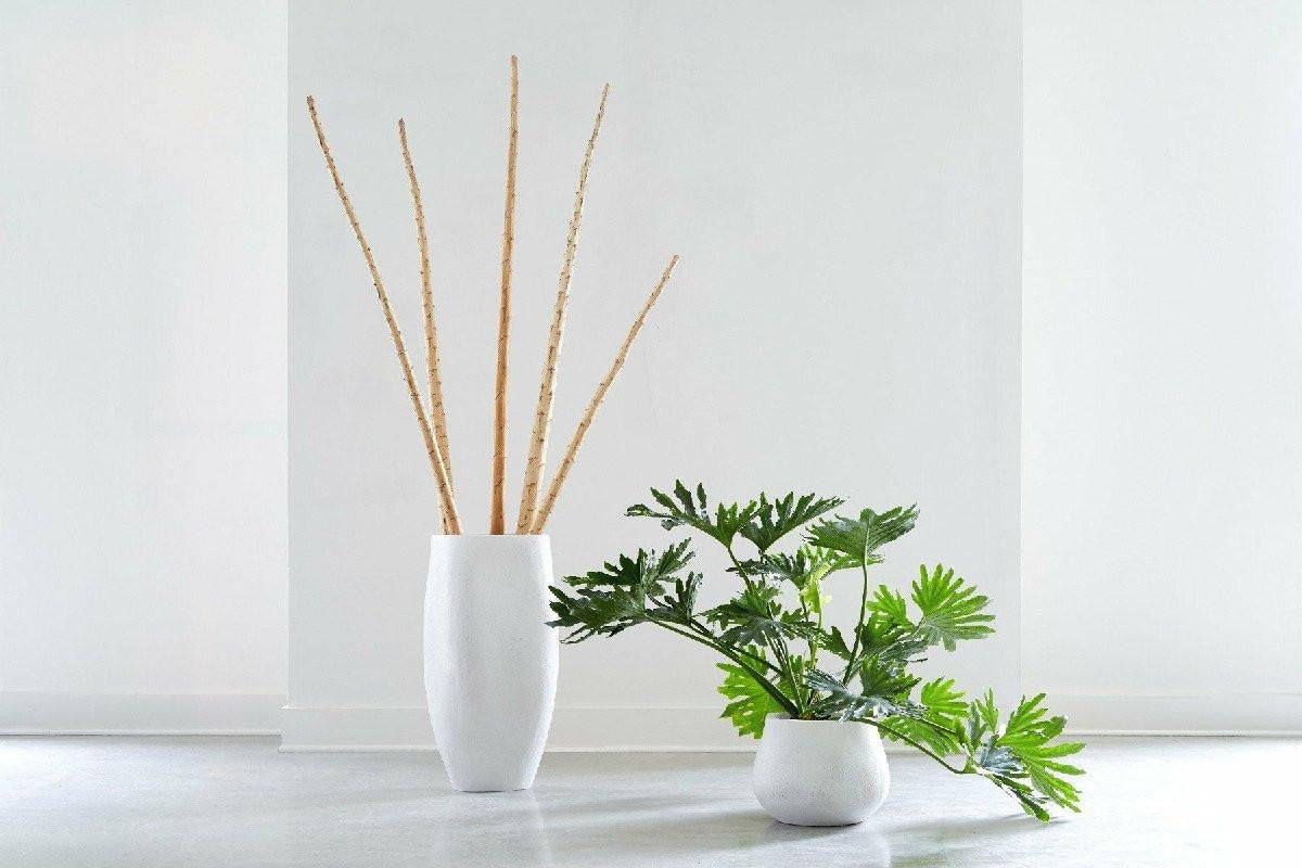 Phillips Collection-PH970