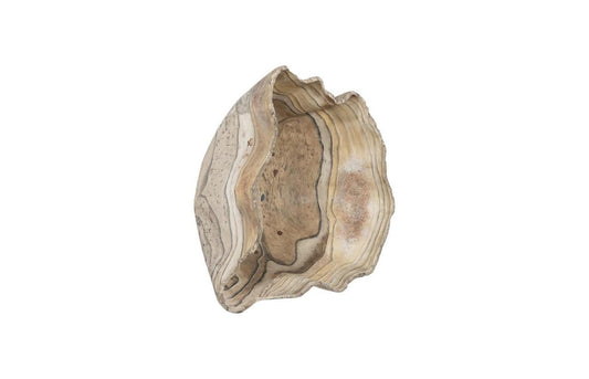 Phillips Collection Cast Bowl Wall Sculpture Natural