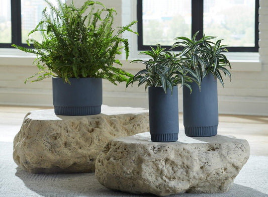 Phillips Collection Harvest Medium Planter Dark Gray
