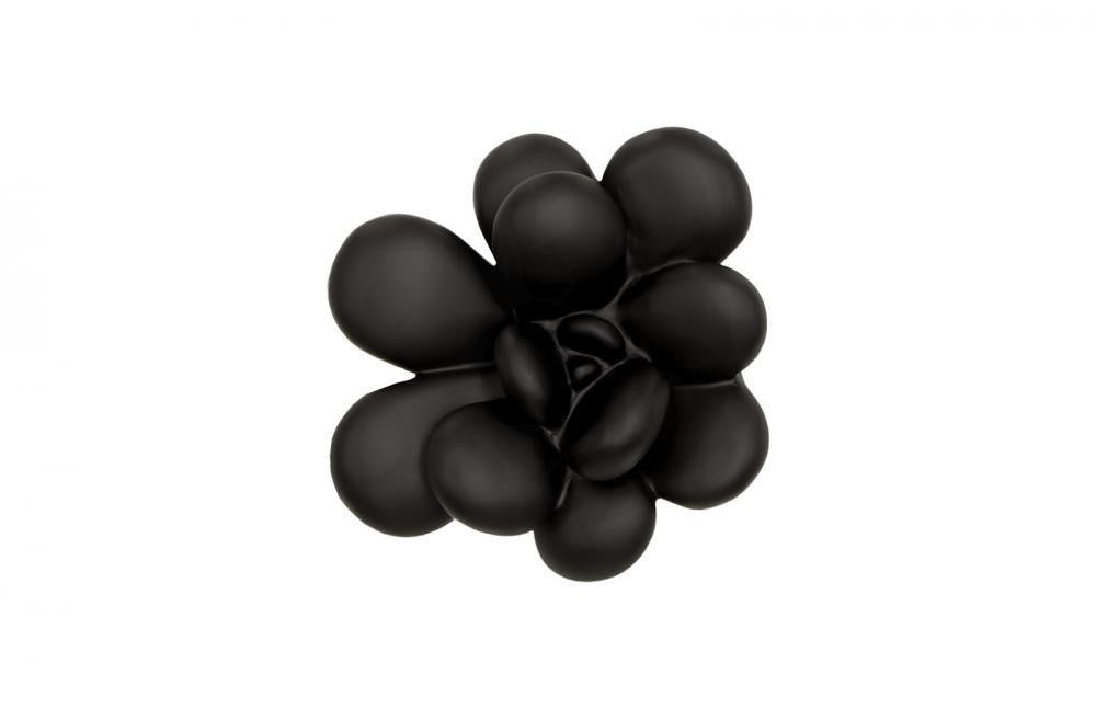 Phillips Collection Oviferum Succulent Wall Tile, Black, 10"W (PH111558 YV0J07TC0J)