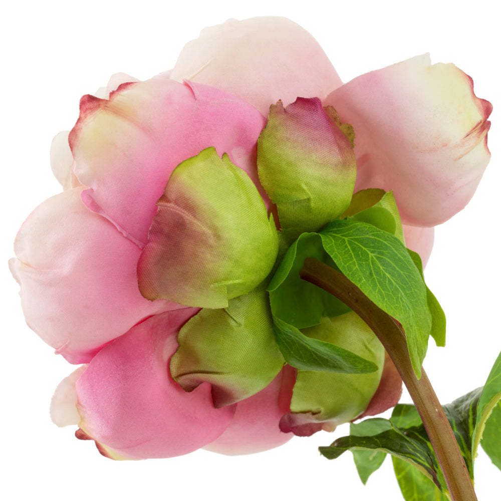 Eichholtz of Peonies Bouquet, Pink Tones Real Touch 48 Pcs/2 Varieties (119278)