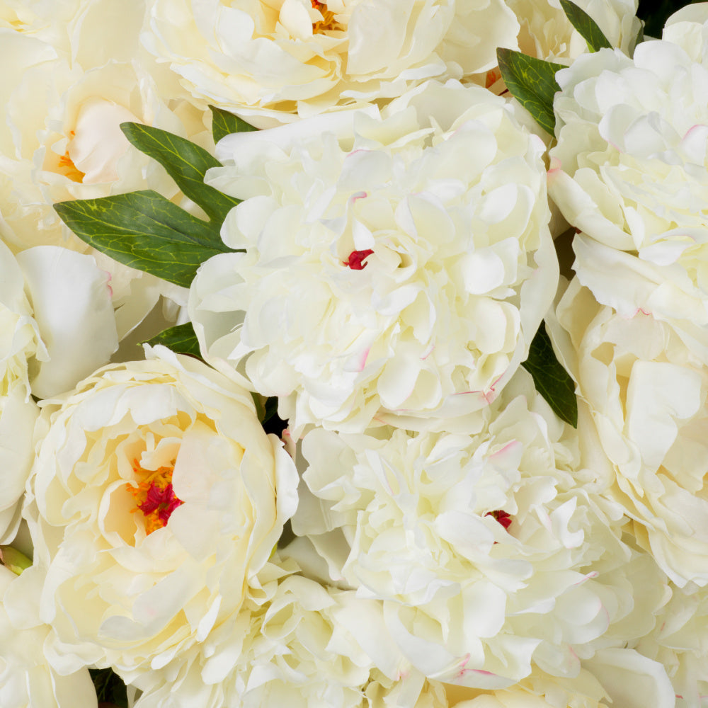 Eichholtz of Peonies Bouquet, White Tones Real Touch 48 Pcs/2 Varieties (119279)
