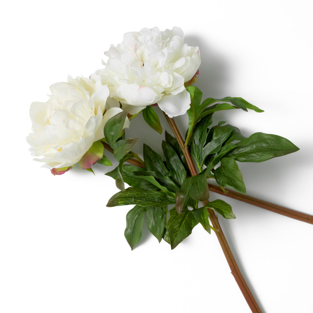 Eichholtz of Peonies Bouquet, White Tones Real Touch 48 Pcs/2 Varieties (119279)