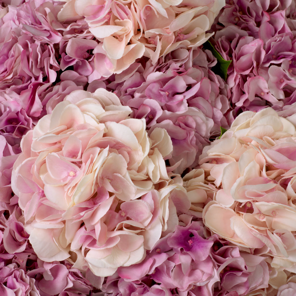 Eichholtz of Hydrangeas Bouquet, Pink Tones Real Touch 48 Pcs/2varieties (119281)