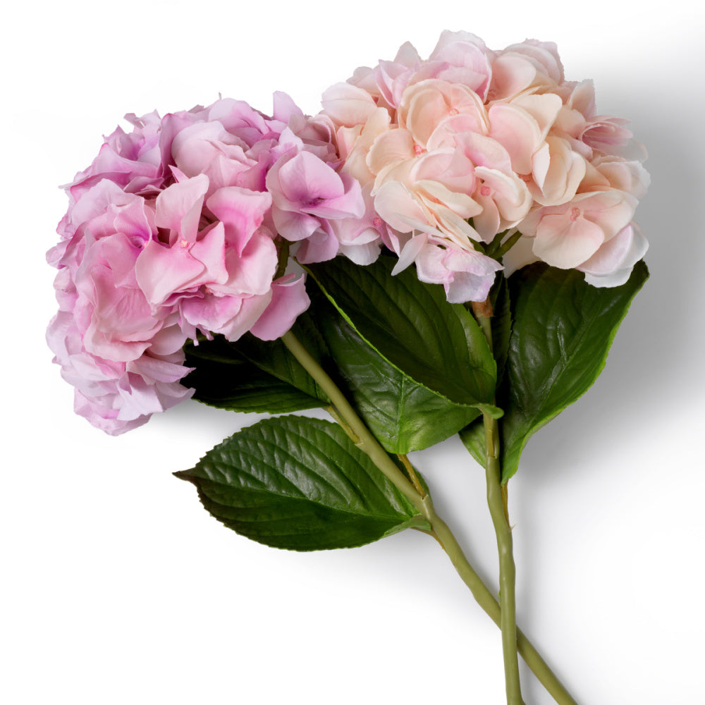 Eichholtz of Hydrangeas Bouquet, Pink Tones Real Touch 48 Pcs/2varieties (119281)