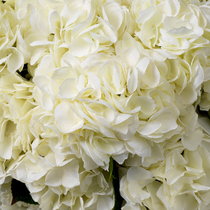 Eichholtz of Hydrangeas Bouquet, White Tones Real Touch 48 Pcs/2 Varieties (119291)