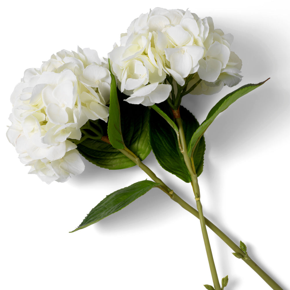 Eichholtz of Hydrangeas Bouquet, White Tones Real Touch 48 Pcs/2 Varieties (119291)