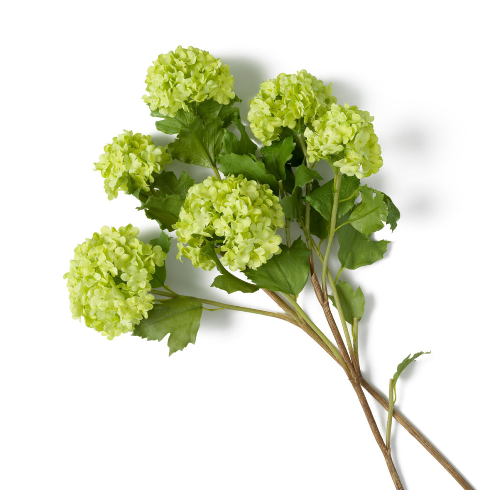 Eichholtz of Hydrangeas Bouquet, Snowball Green Real Touch 36 Pcs (119294)