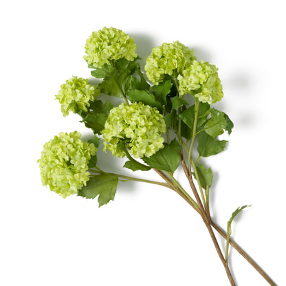 Eichholtz of Hydrangeas Bouquet, Snowball Green Real Touch 36 Pcs (119294)
