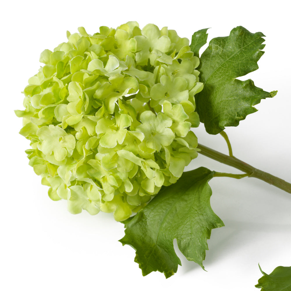 Eichholtz of Hydrangeas Bouquet, Snowball Green Real Touch 36 Pcs (119294)