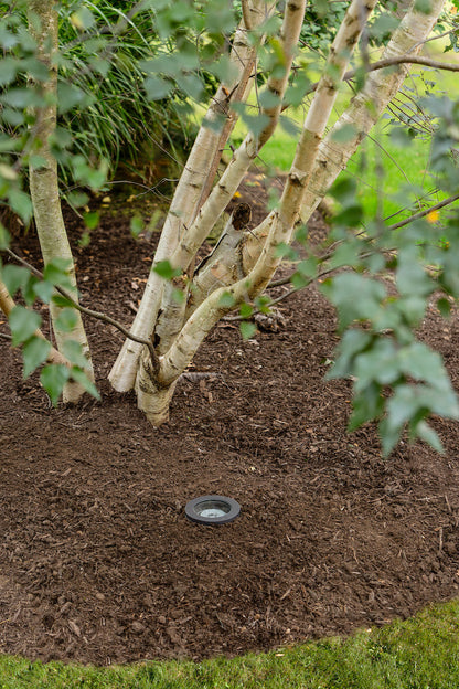 Landscape Ltg.-Hinkley-HL15702