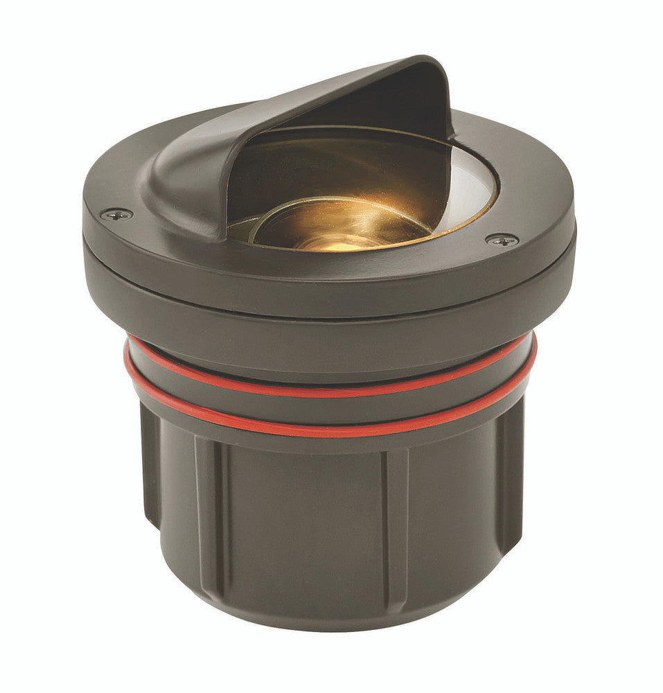 Hinkley Hardy Island Shielded Well Light Landscape Bronze