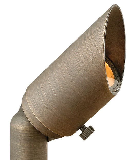 Hinkley Hardy Island Outdoor Landscape Spot Light Matte Bronze