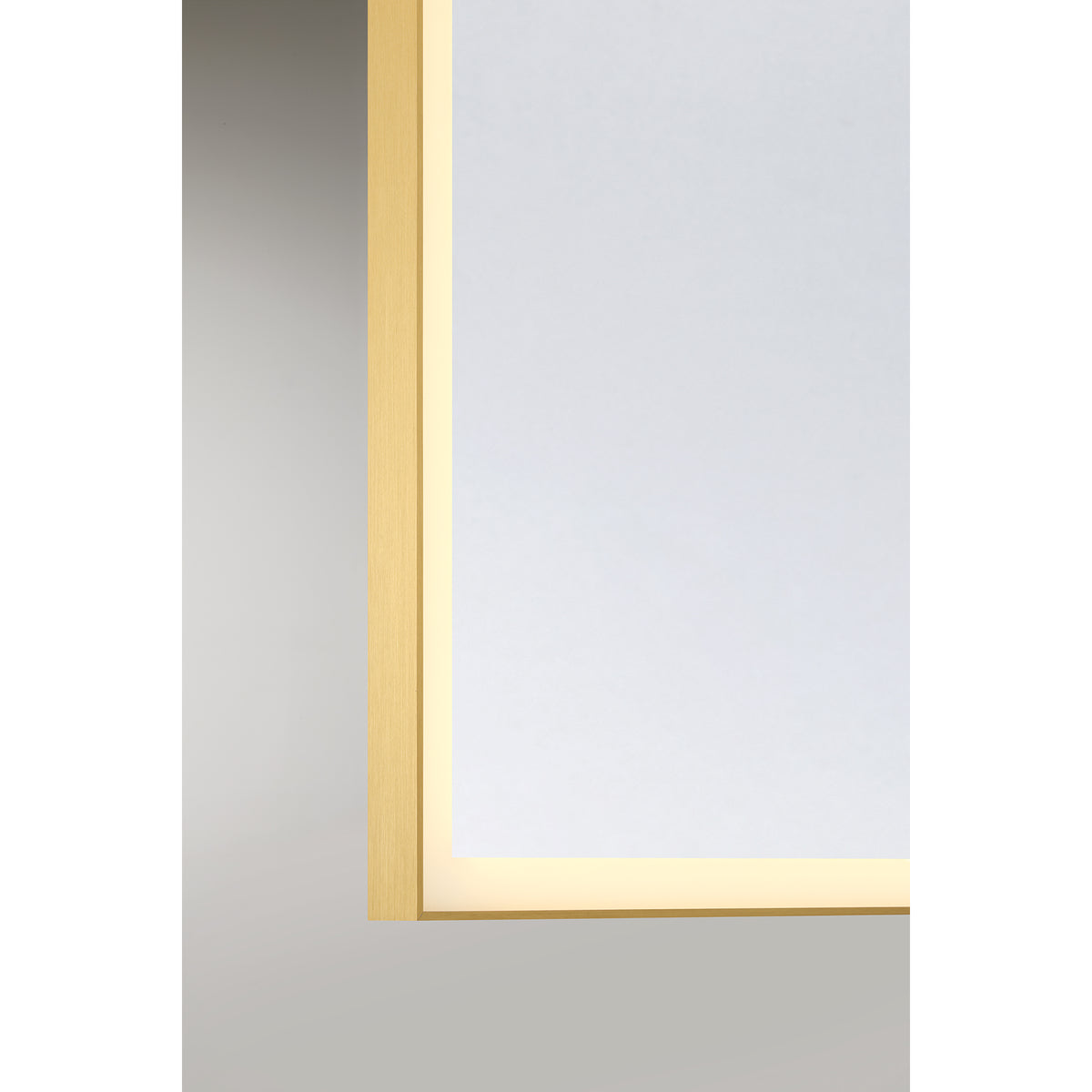 Paulding 30" x 72" LED Rectangle Frontlit Mirror with Gold Frame