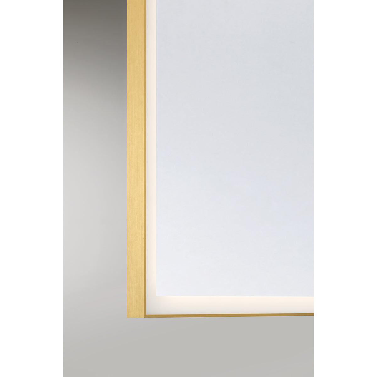 Paulding 30" x 72" LED Rectangle Frontlit Mirror with Gold Frame