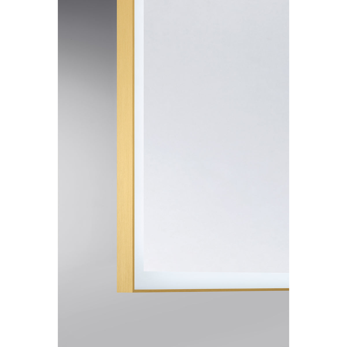 Paulding 30" x 72" LED Rectangle Frontlit Mirror with Gold Frame