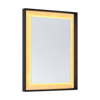 Corvalis 24" x 32" LED Rectangle Frontlit Mirror with Sand Black and Gold Leaf Frame