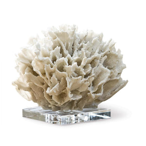 Regina Andrew Ribbon Coral White