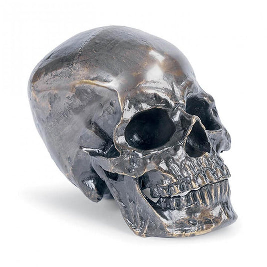 Regina Andrew Metal Skull Bronze