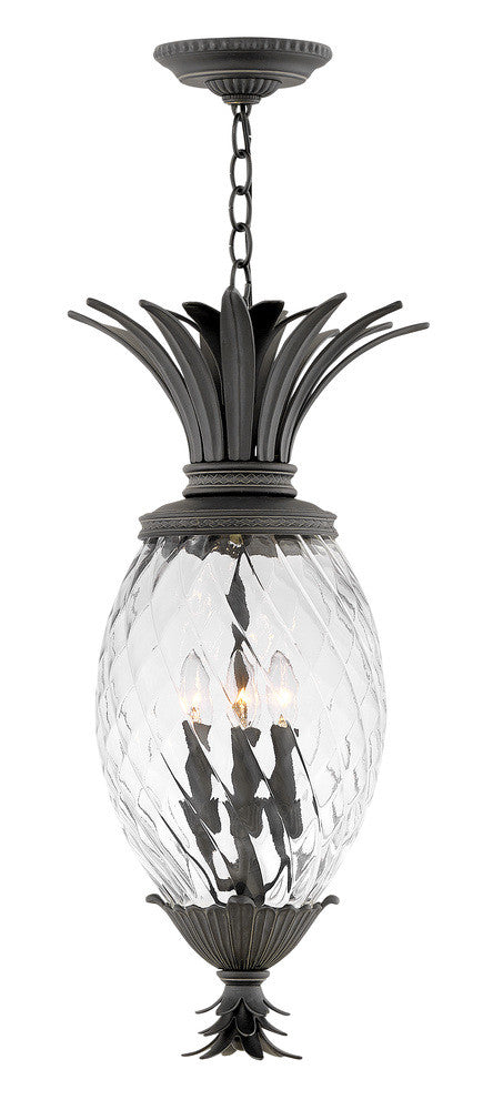 Hinkley Plantation Outdoor Hanging Lantern Museum Black