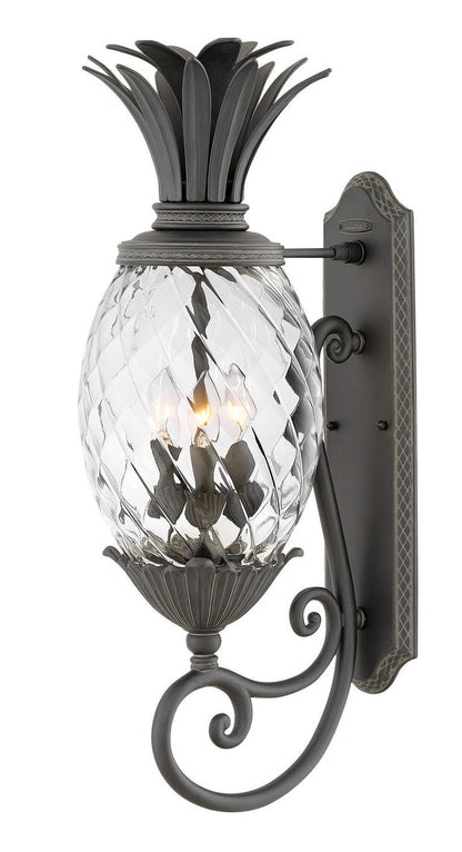 Hinkley Plantation Outdoor Wall Mount Lantern Black
