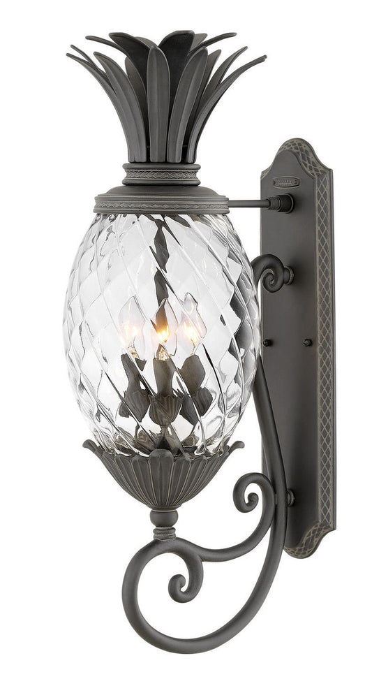 Hinkley Plantation Outdoor Wall Mount Lantern Black