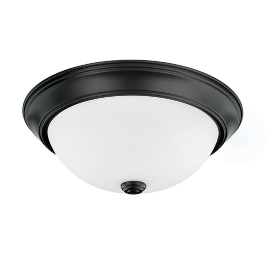 Capital Bates Flush Mount Matte Black