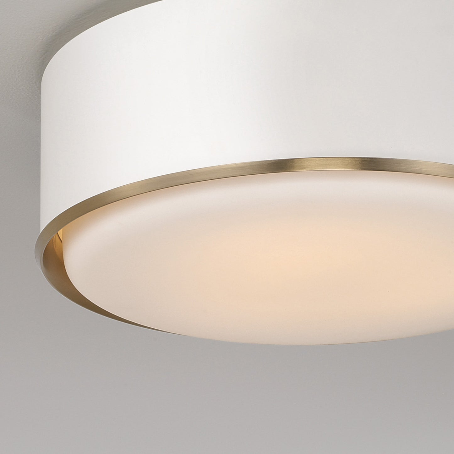 Capital Carlton Flush Mount
