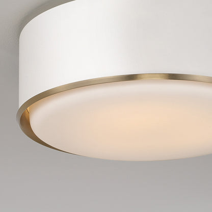 Capital Carlton Flush Mount
