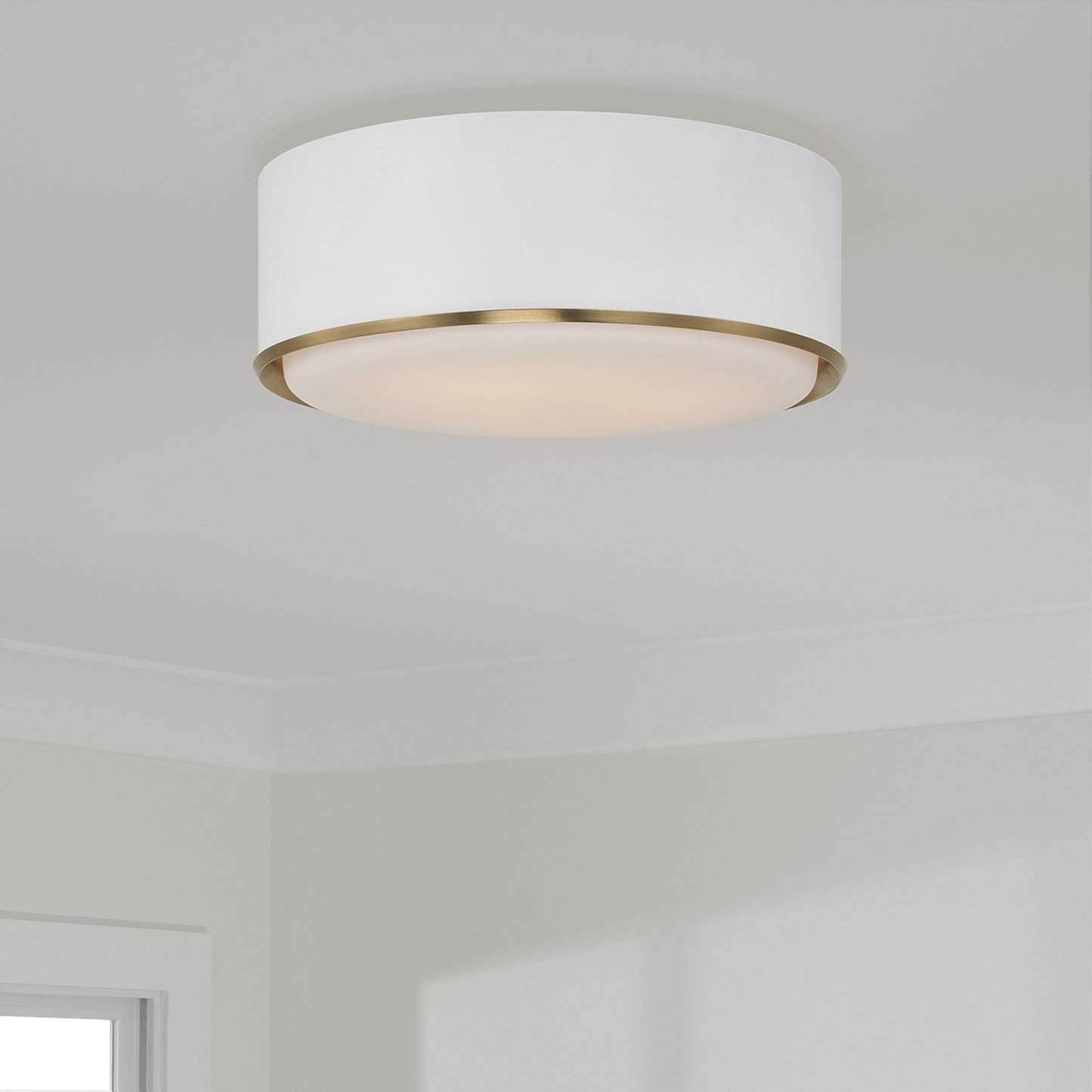 Capital Carlton Flush Mount