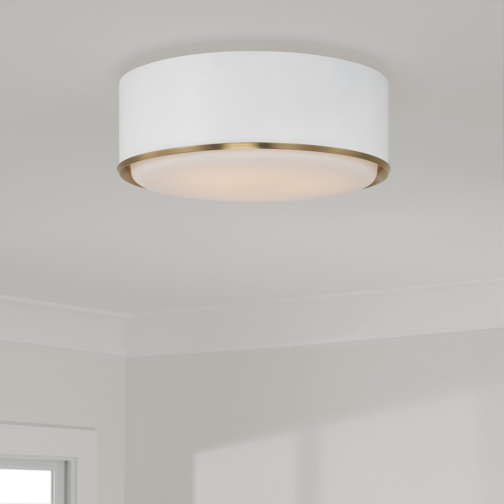 Capital Carlton Flush Mount