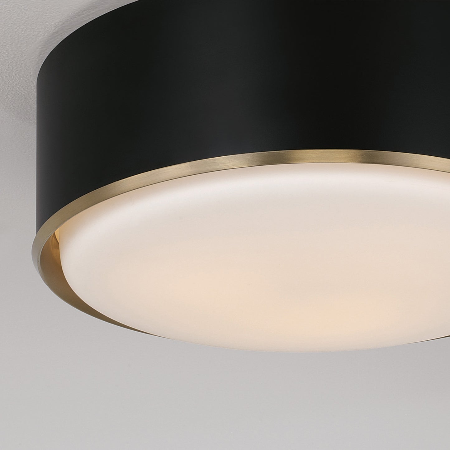 Capital Carlton Flush Mount